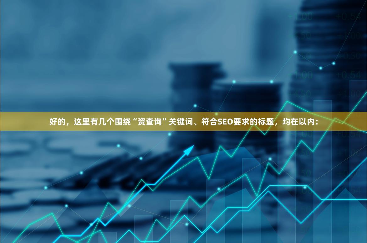 好的，这里有几个围绕“资查询”关键词、符合SEO要求的标题，均在以内：