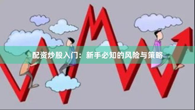 配资炒股入门：新手必知的风险与策略